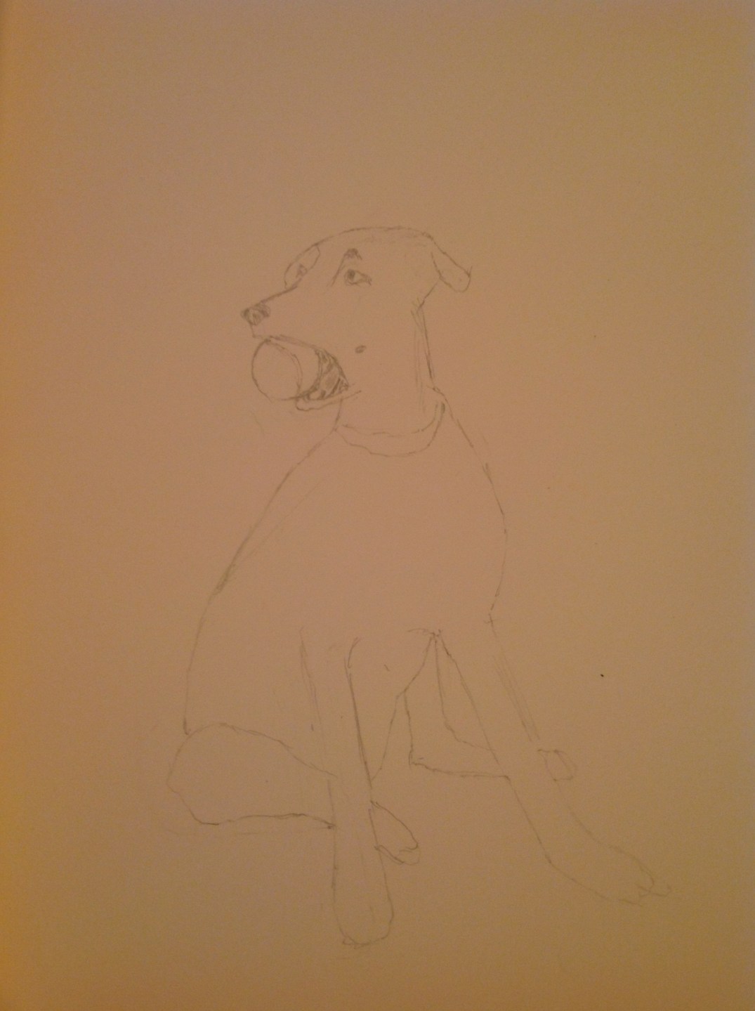 Sketch - dog outline (right hand)