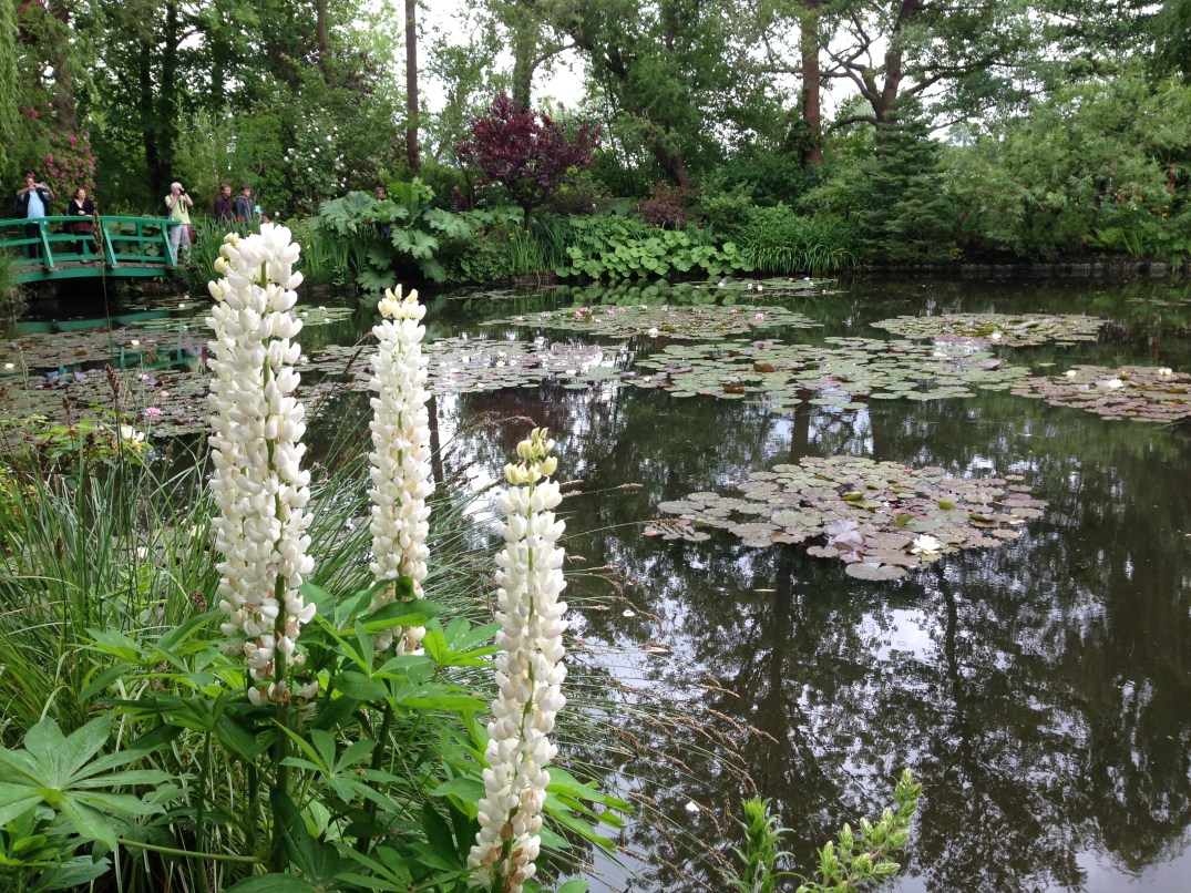 New Project - Giverny