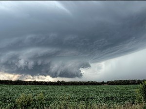 IMG_0163