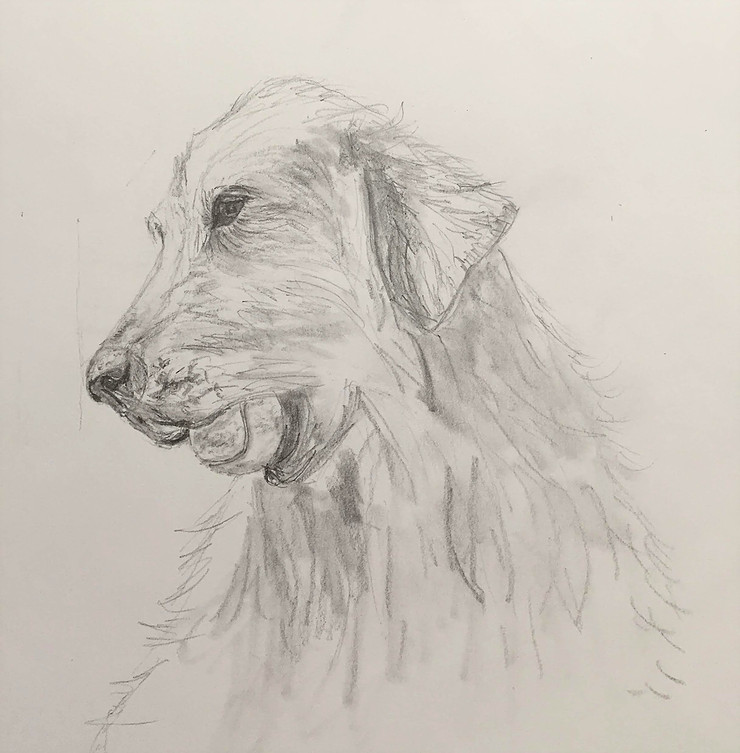 art-drawing-dog-tennis-ball