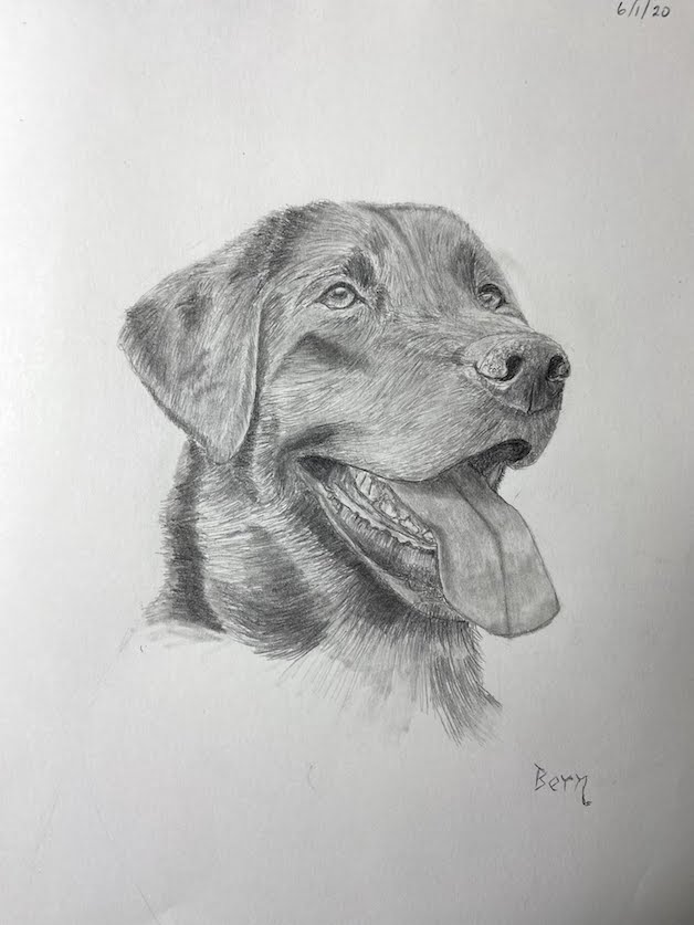 Happy Lab Portrait – Art Bern